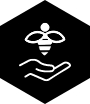 Respect de la biodiversité